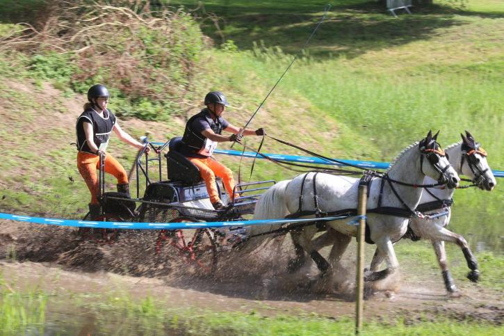 Concours d'attelage au Val de Souchez